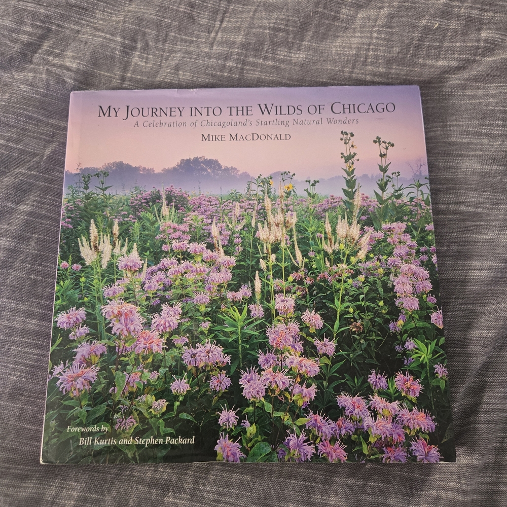 My Journey into the Wilds of Chicago Book